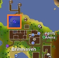 Brimhaven Fruit Tree Farming patch. 