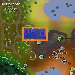 Fossil island osrs hard wood patch