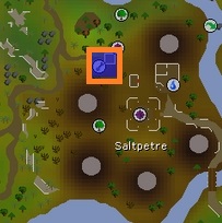 OSRS 99 farming guide - hosidius spirit tree patch