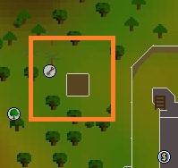 Lumbridge Tree Farming Patch