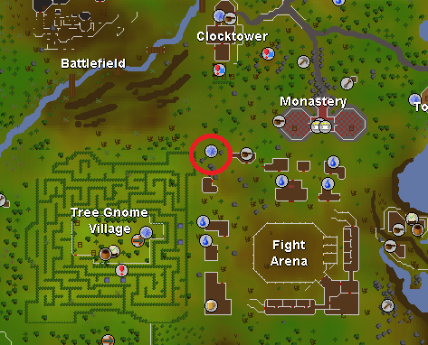 Fight Arena quest start.