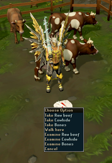 RS3 Combat money making picking up cowhides