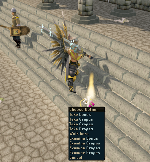 Rs3 killing guards loot