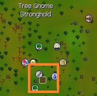 Tree Gnome Stronghold Tree Farming patch.