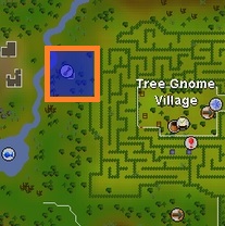 Tree Gnome maze Fruit Tree Farming patch.