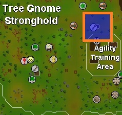 Gnome Stronghold Fruit Tree Farming patch.